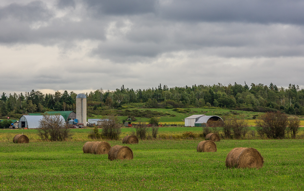 Highway 60 west of Renfrew ON