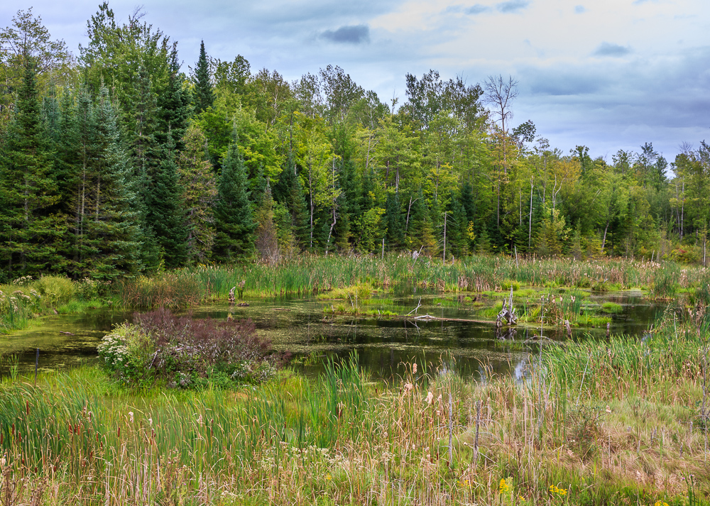 Haley Road Renfrew County ON