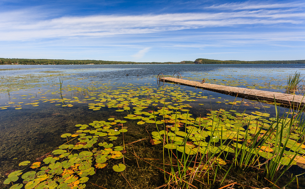 Lake Clear ON