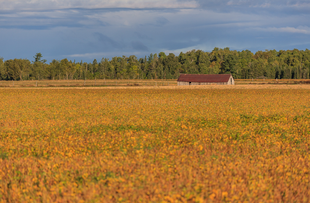 Near Renfrew ON
