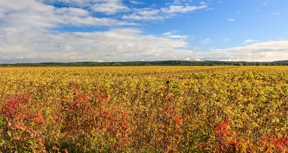 Near Renfrew ON