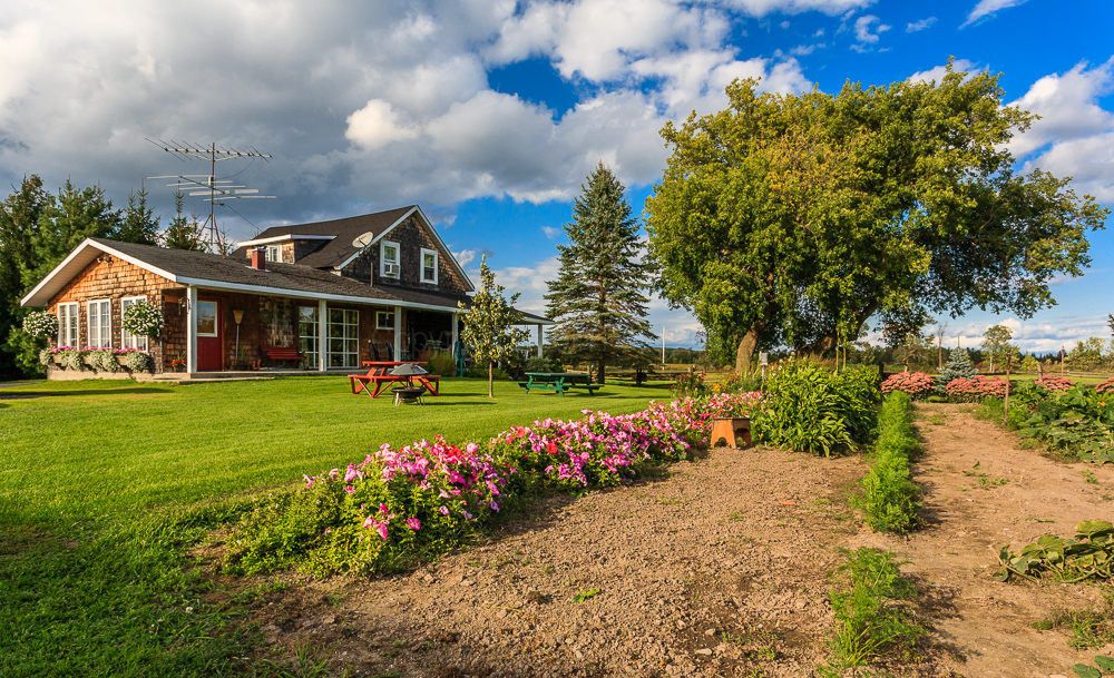 A friends farm