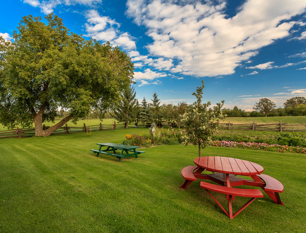 A friends farm