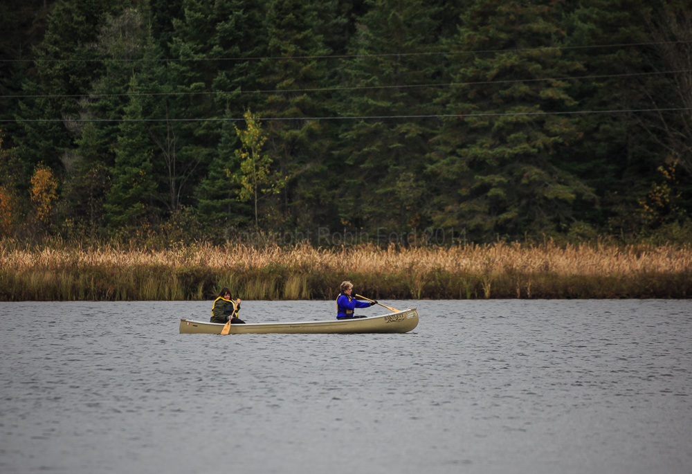 Algonquin Provincial Park
