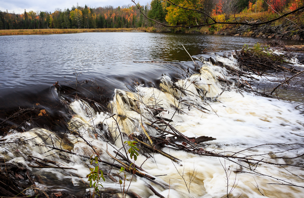 Algonquin Provincial Park