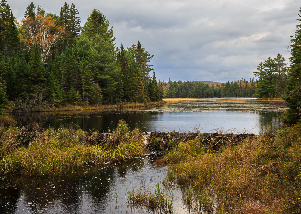 Algonquin Provincial Park
