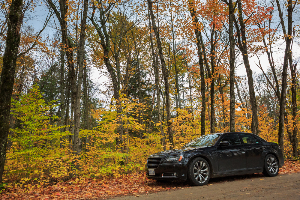 Algonquin Provincial Park