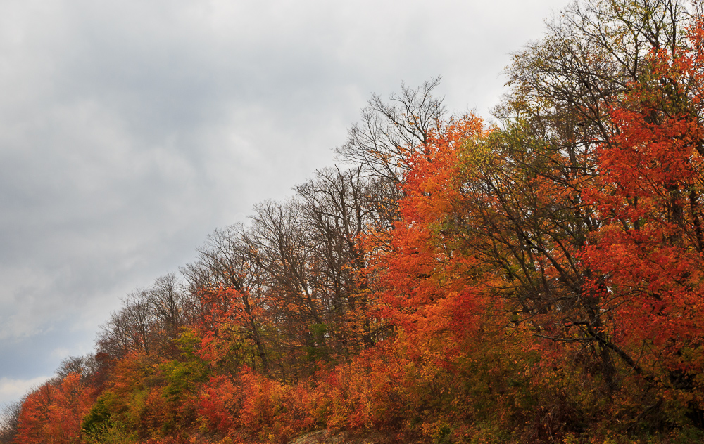 Algonquin Provincial Park