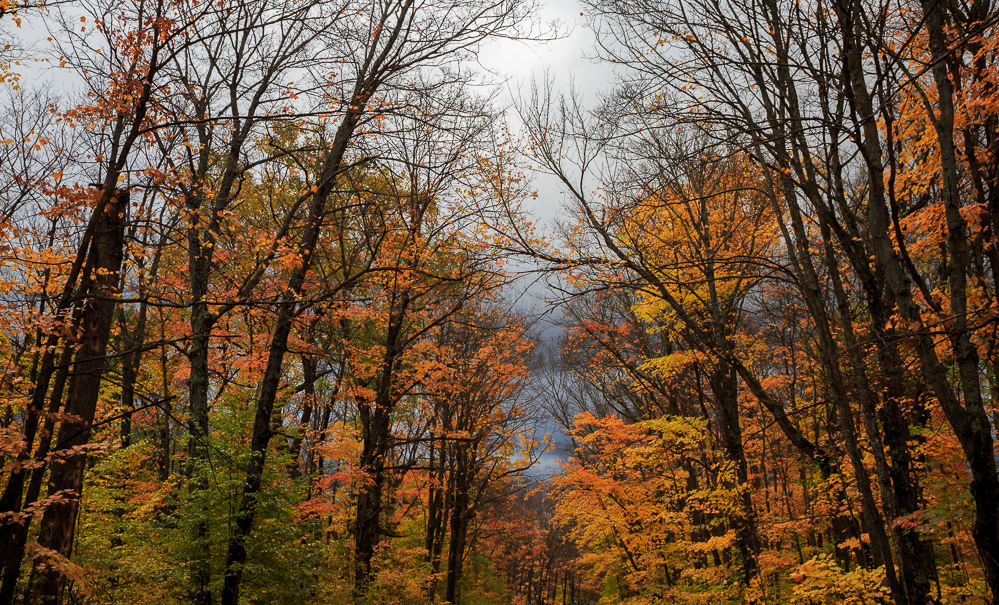 Algonquin Provincial Park