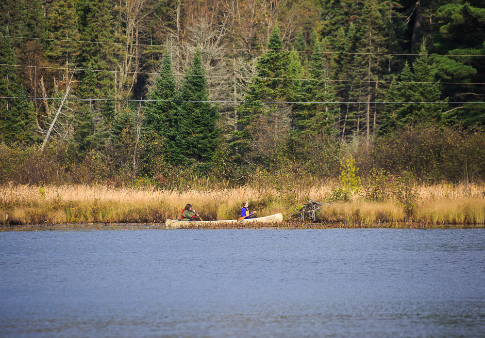 Algonquin Provincial Park