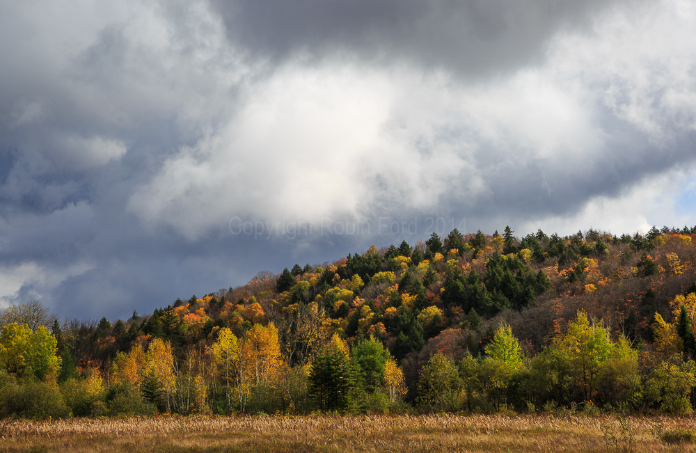 Algonquin Provincial Park