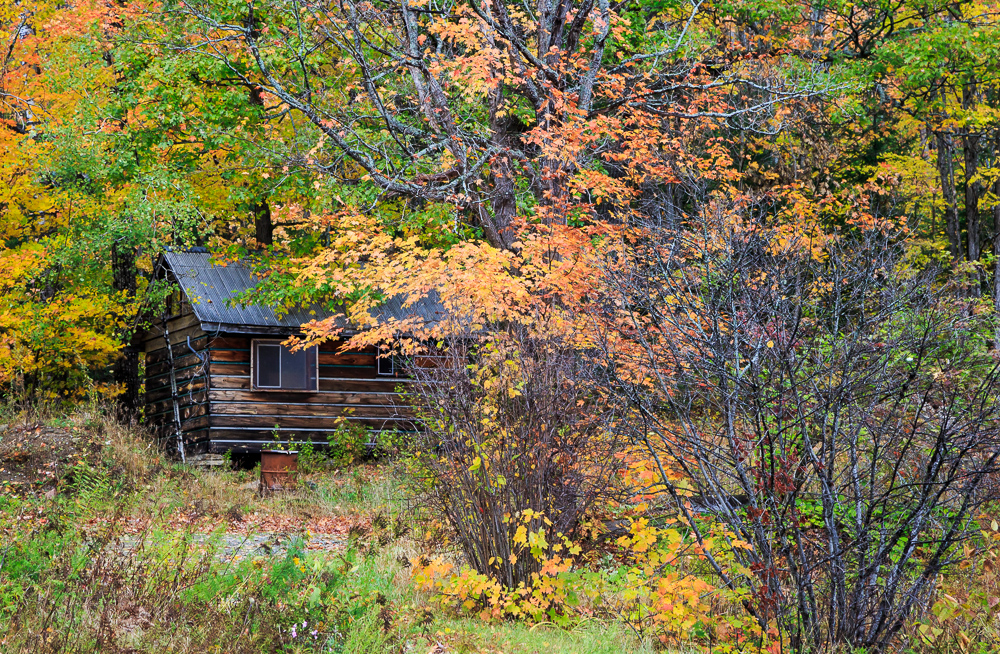 Highway 60 west of Algonquin Park