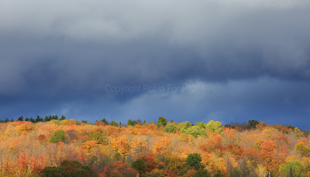 Highway 60 west of Algonquin Park