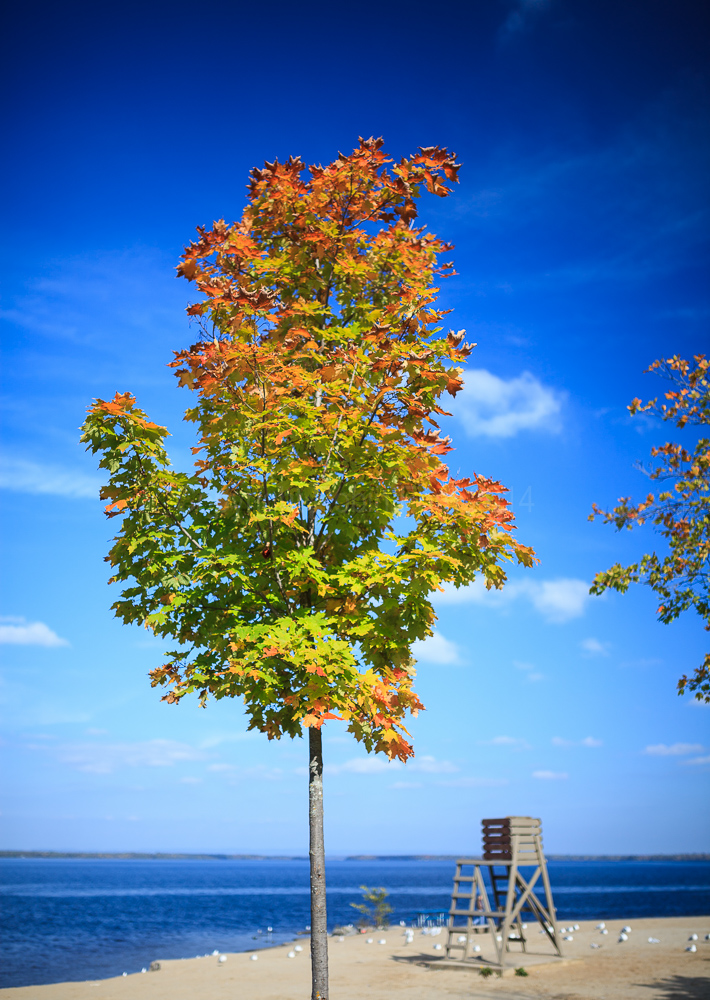 Arnprior, ON