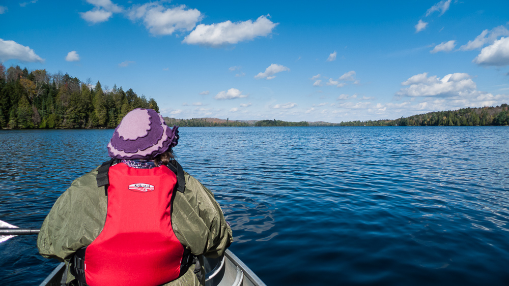 Algonquin Provincial Park