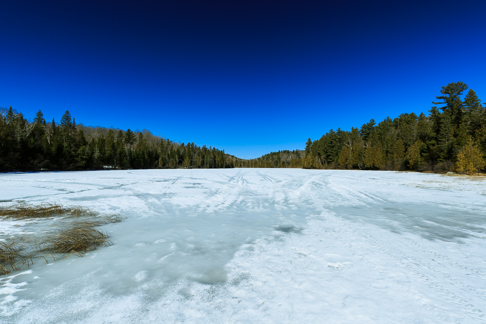 Tooeys Lake