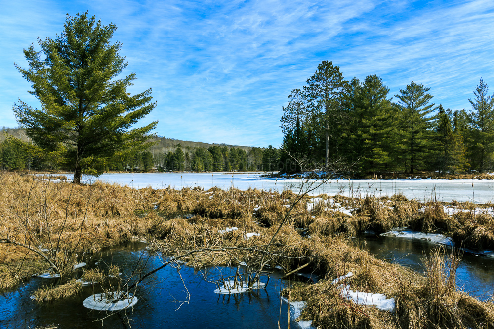 Near Combermere