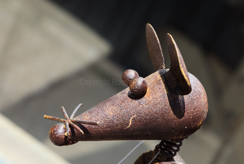 North Creek, NY