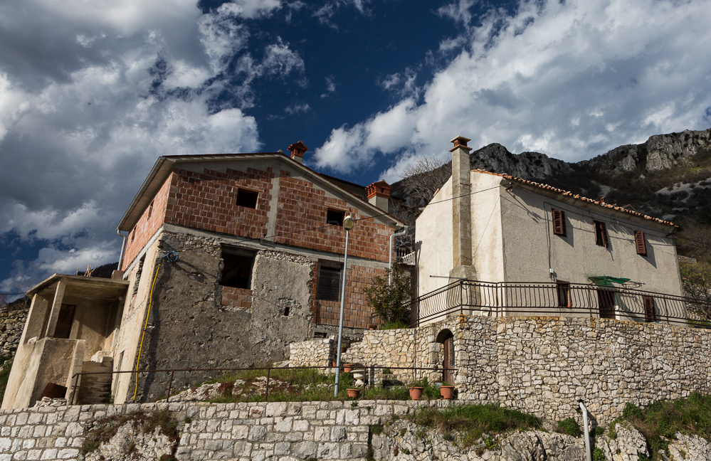 Plomin