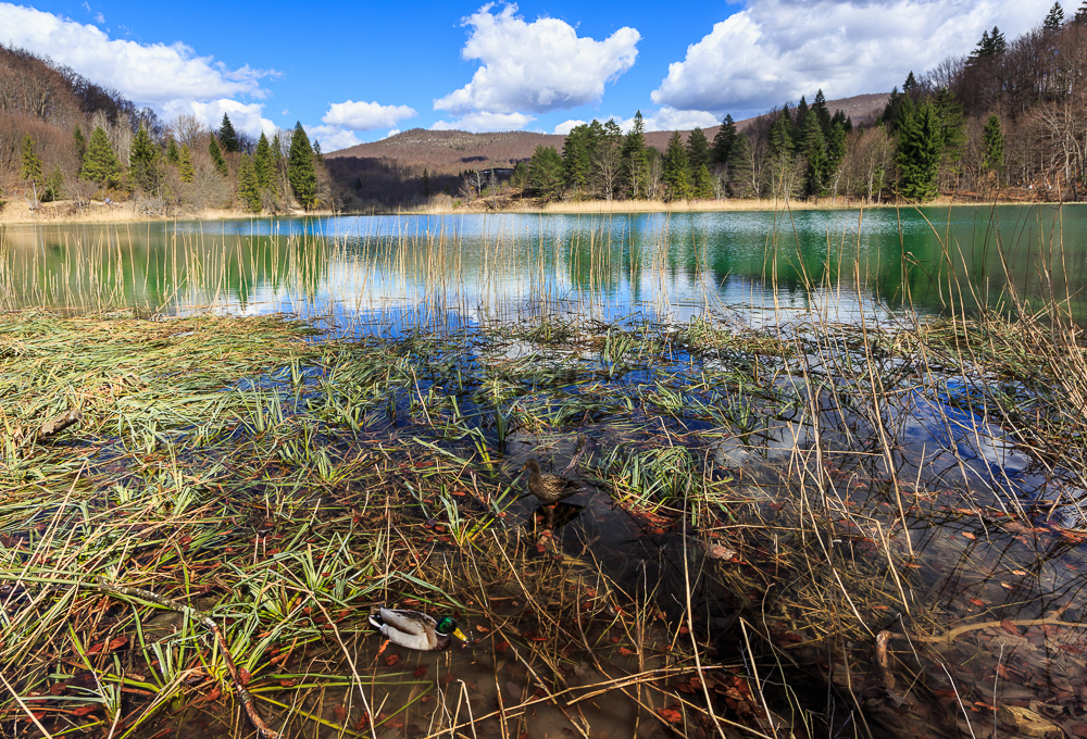 Plitvice Lakes National Park