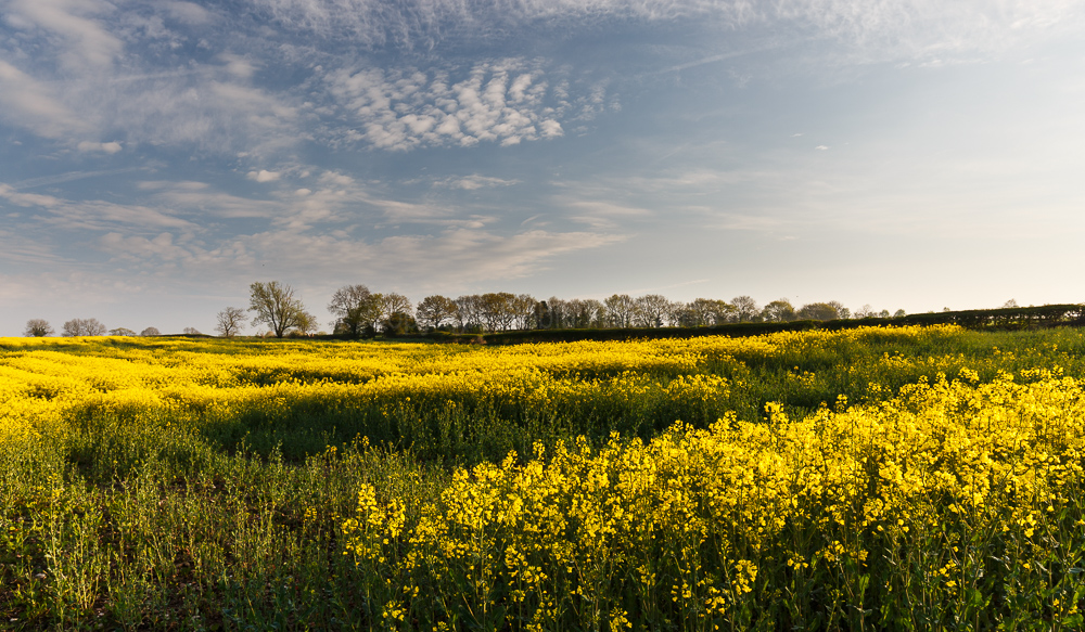 Osmaston