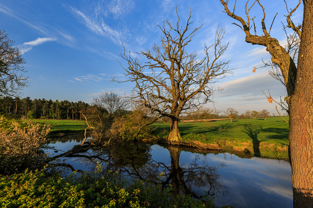 Osmaston