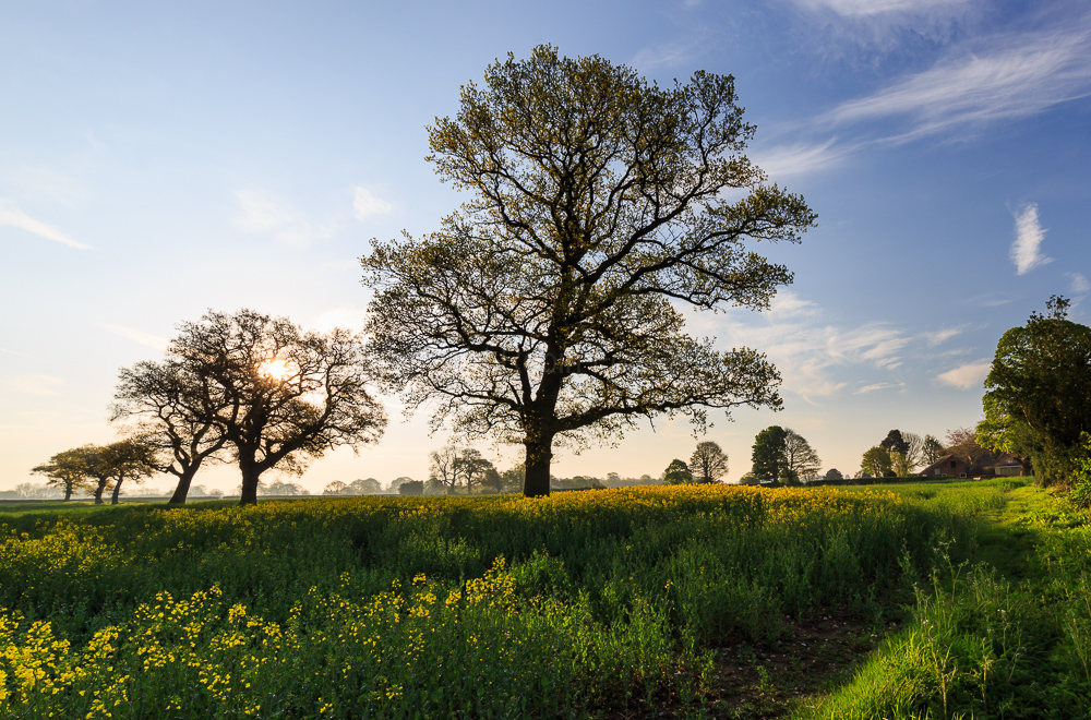 Osmaston