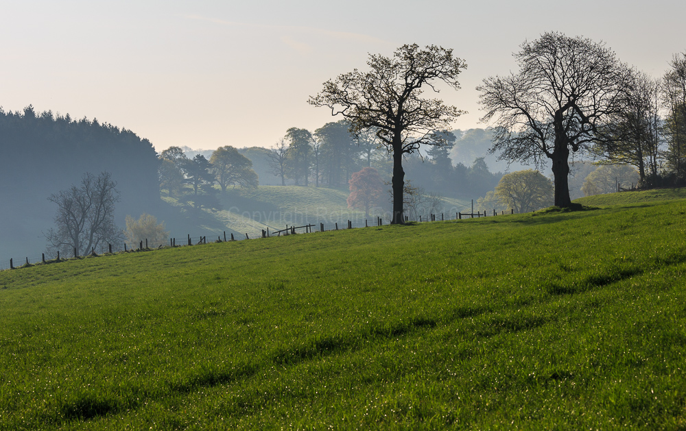 Osmaston