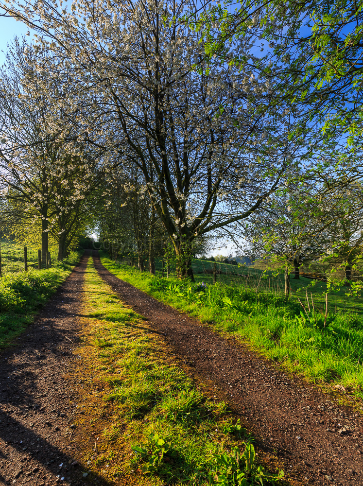 Osmaston