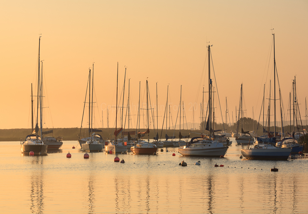 Christchurch Harbour