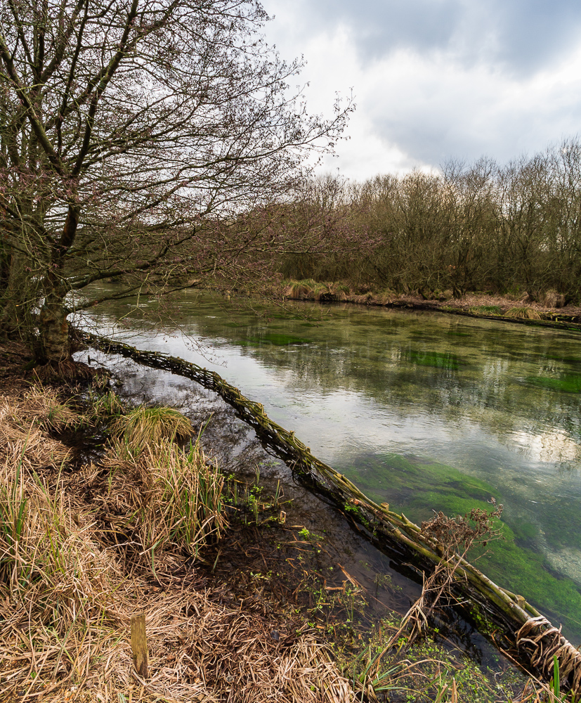 River Itchen, near Ovington Hampshire