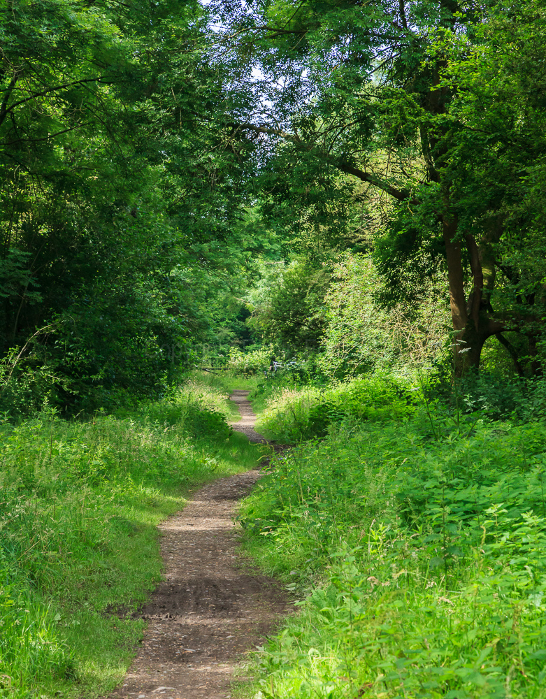Near Romsey, Hampshire