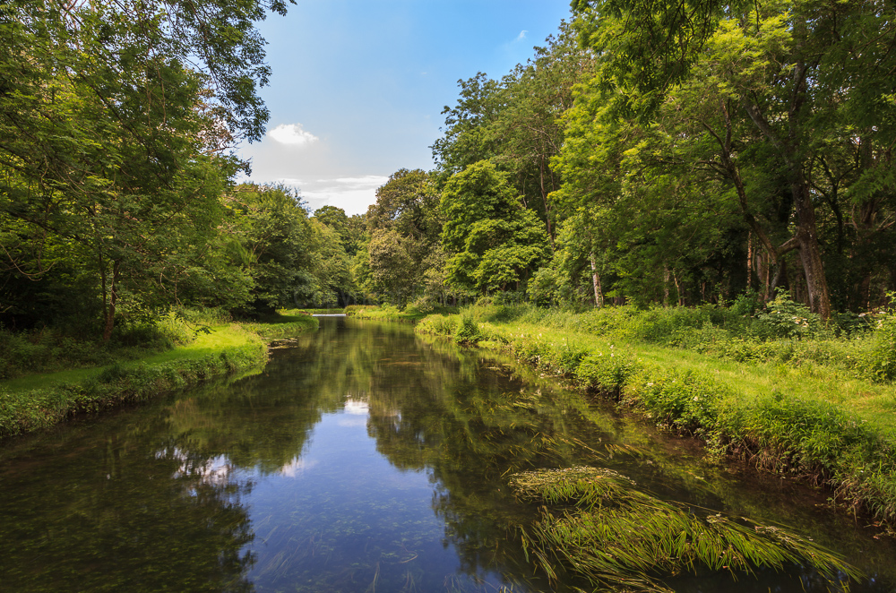 River Test, near Romsey Hampshire