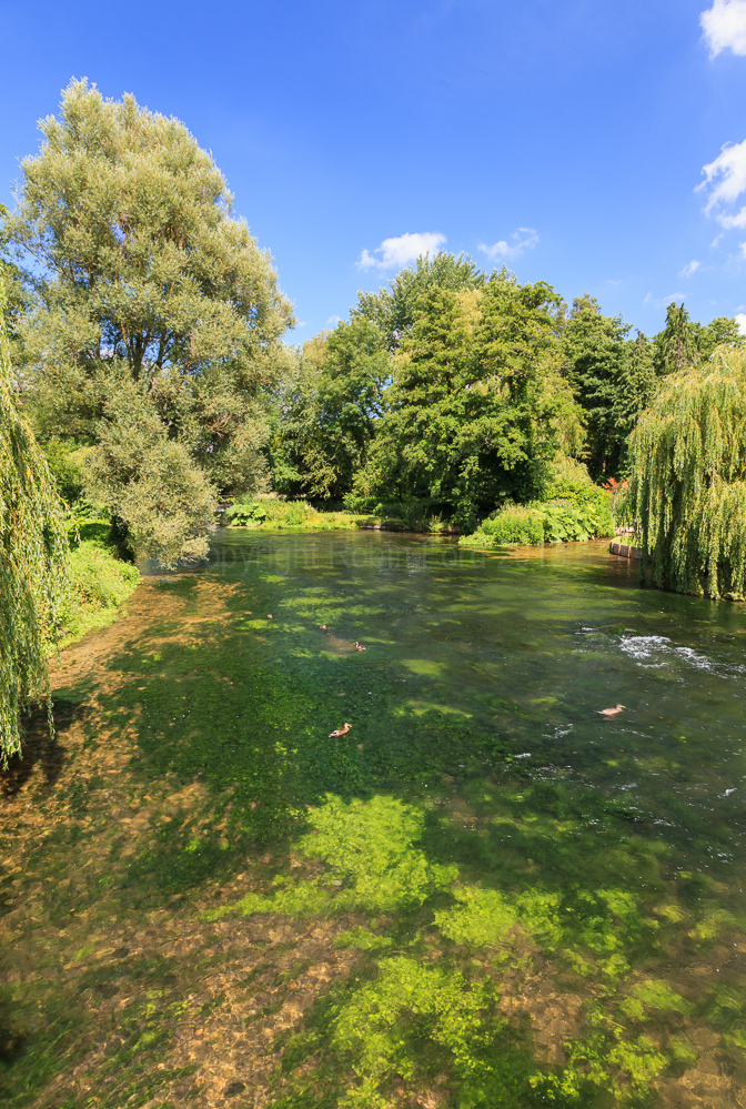 River Test, near Romsey Hampshire