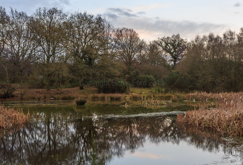 Gravel Pit Pond, Yateley Common Hampshire