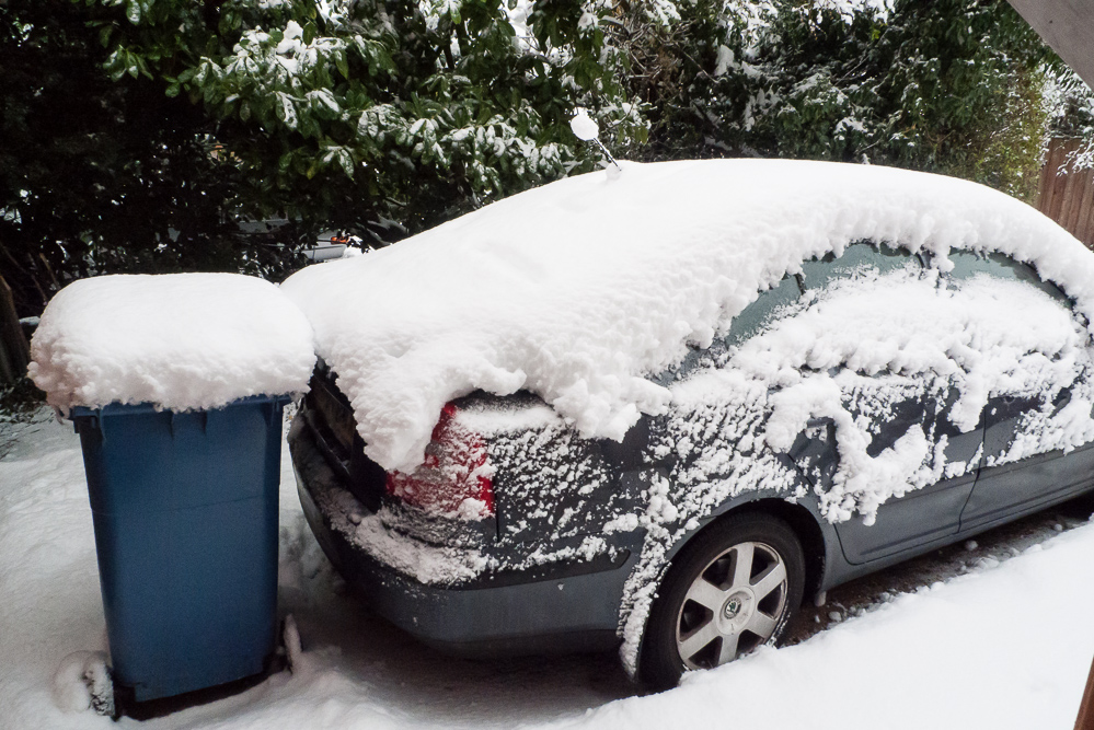 This much snow is unusual, January 2010