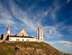 Le Blat de Bretagne 2006