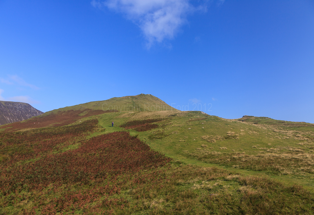 Knott Rigg