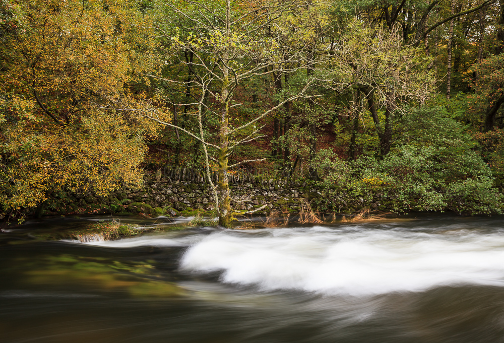 River Rothay