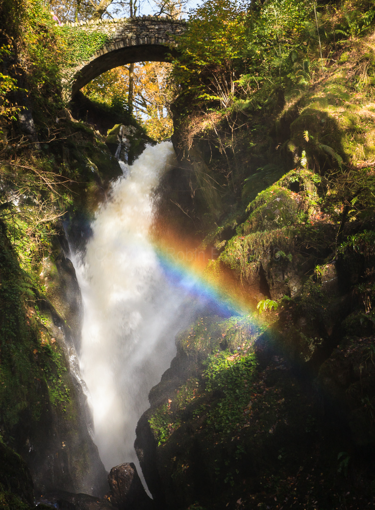 Aira Force