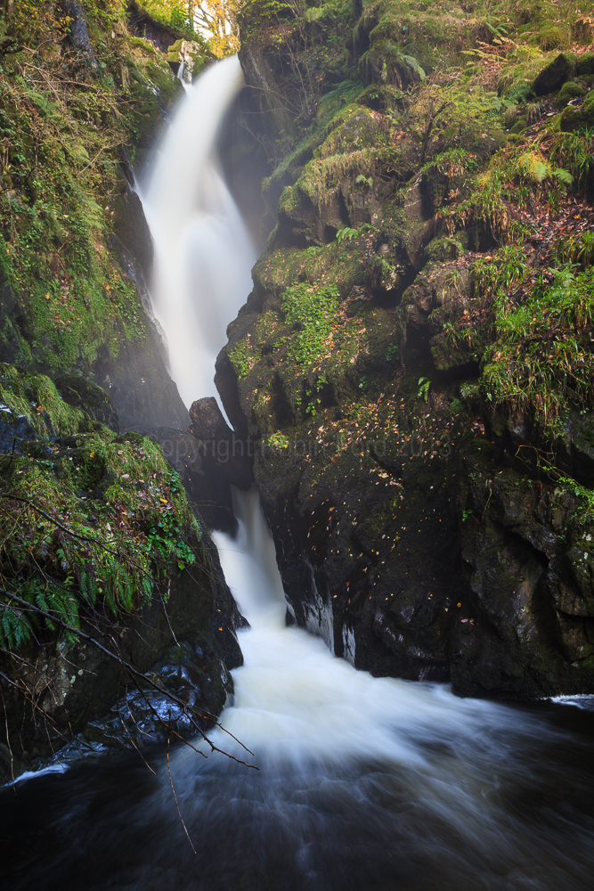 Aira Force