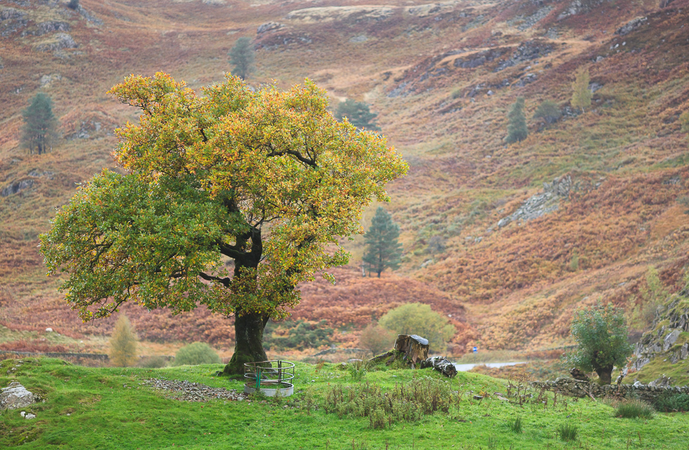 Thirlmere
