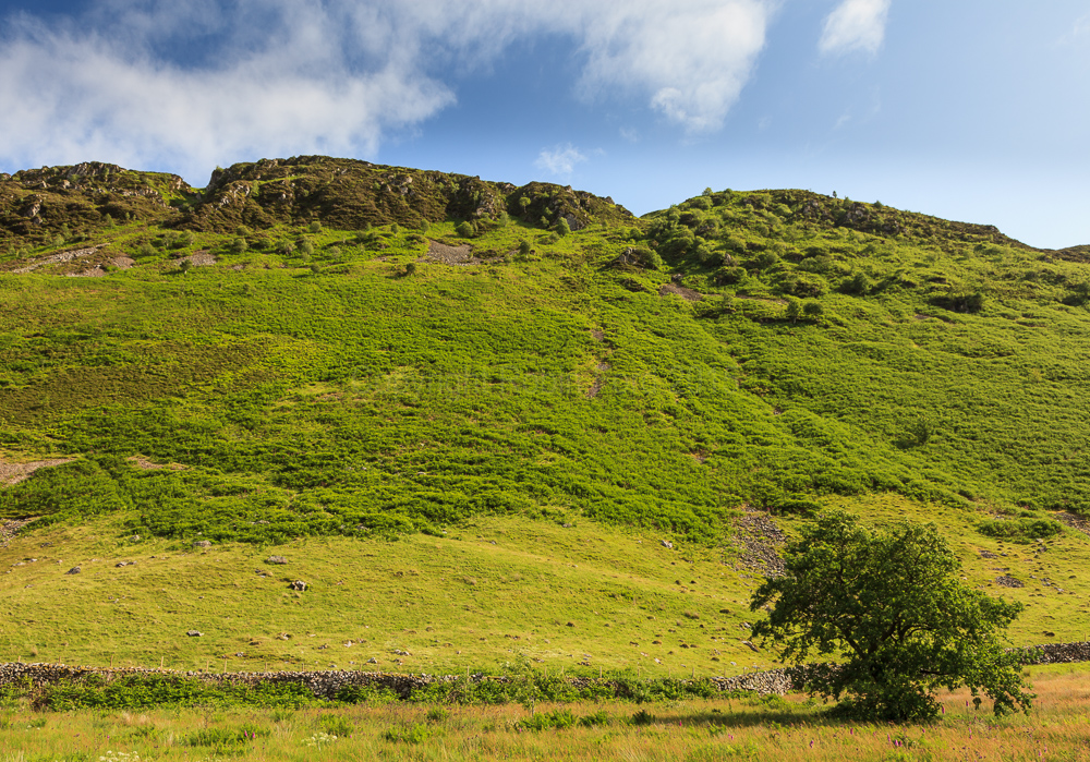 Ennerdale Water