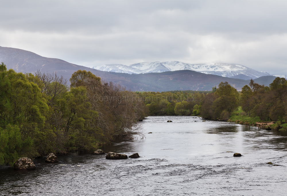 River Spey