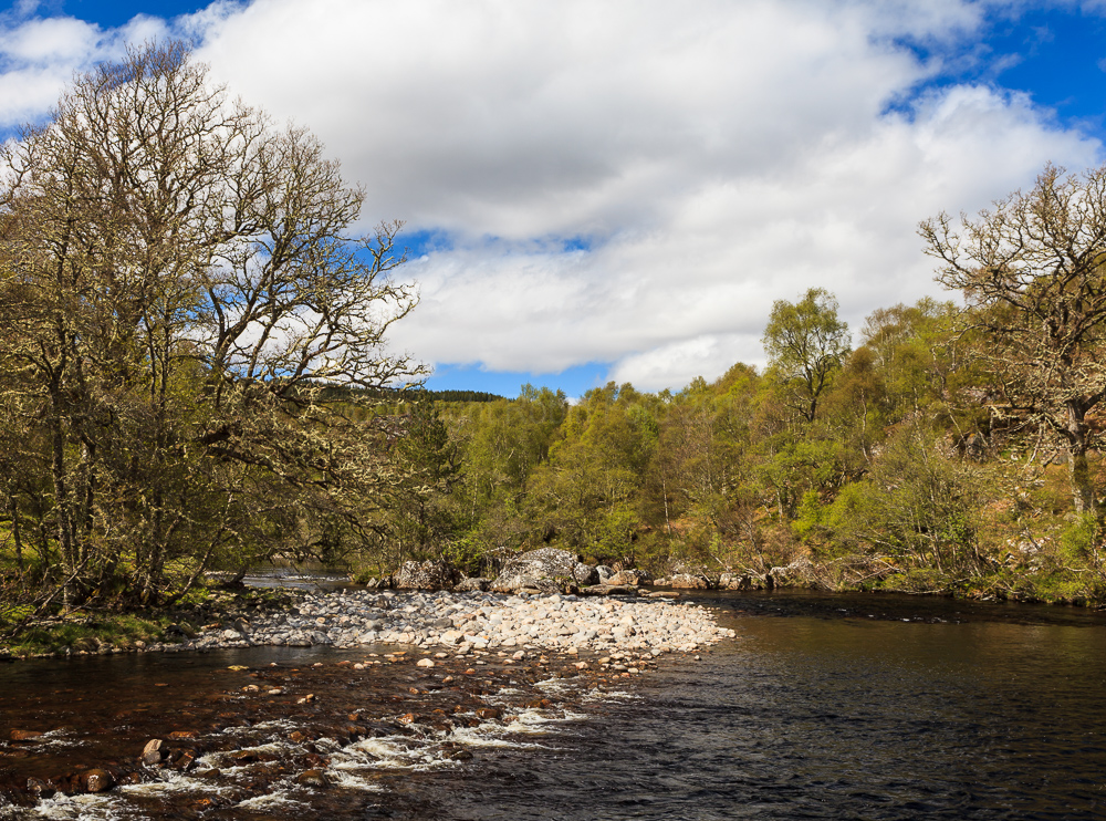 River Foyers