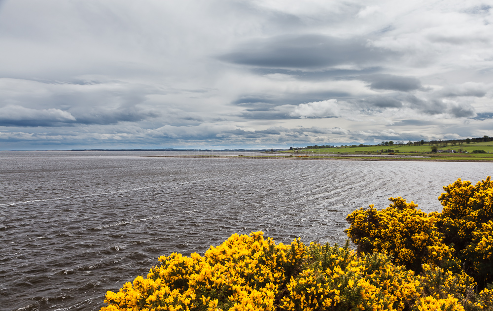 Cromarty Firth