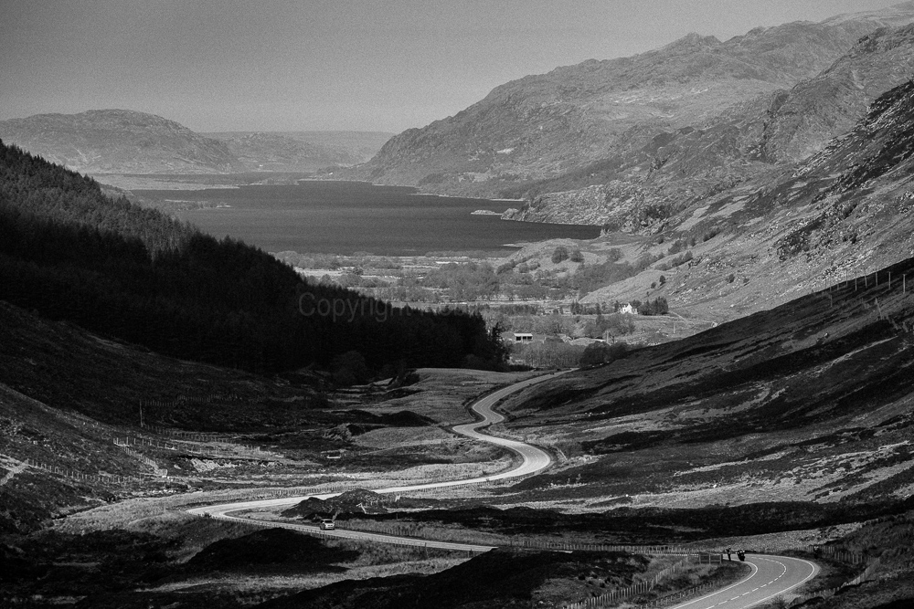 Glen Docherty