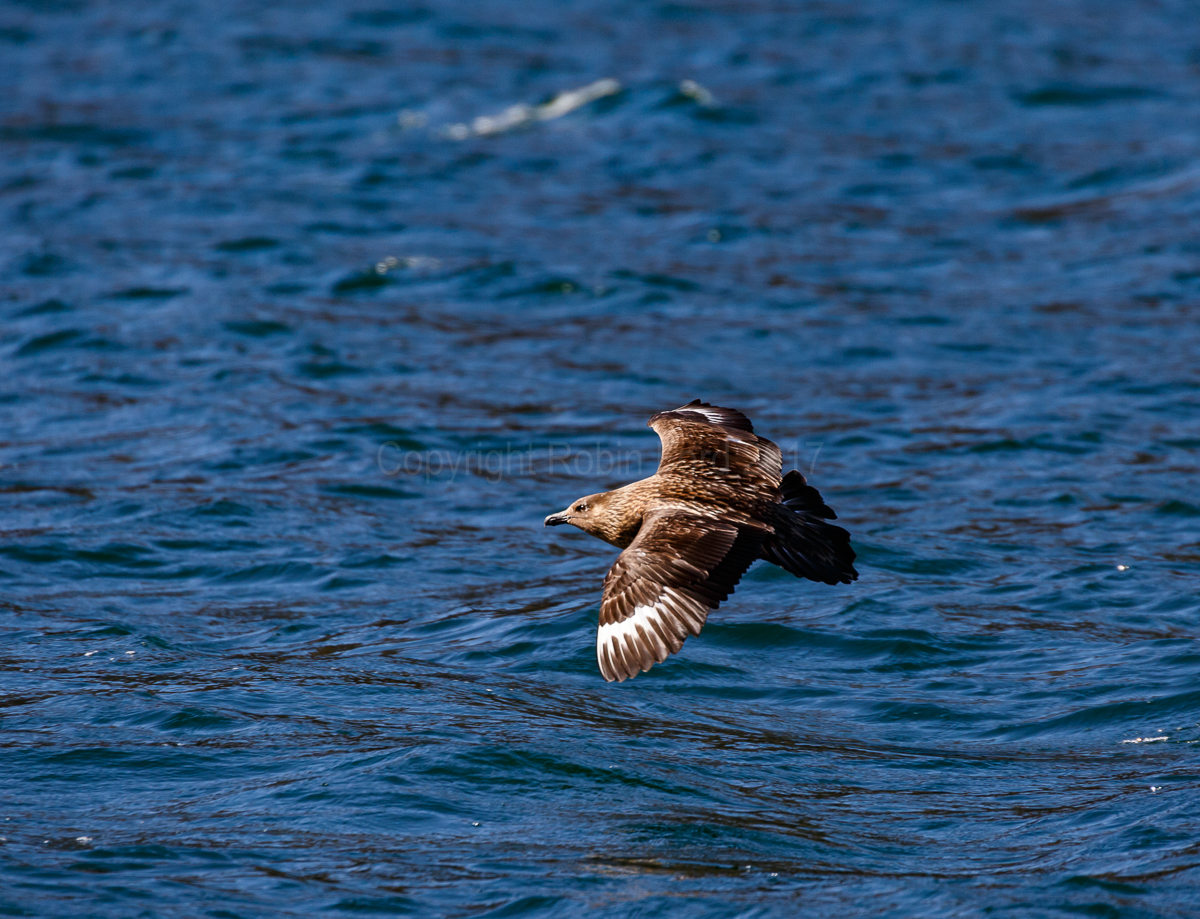 Loch Broom