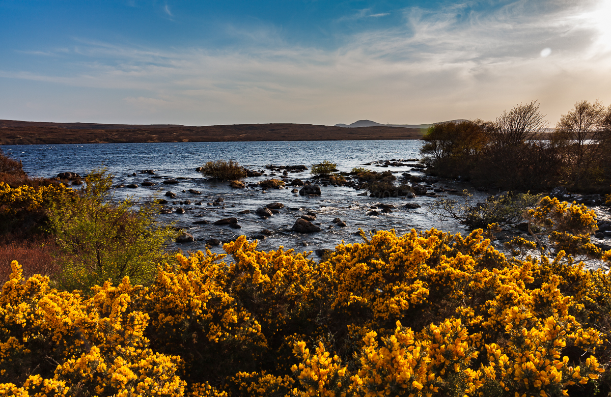 Loch Osgaig