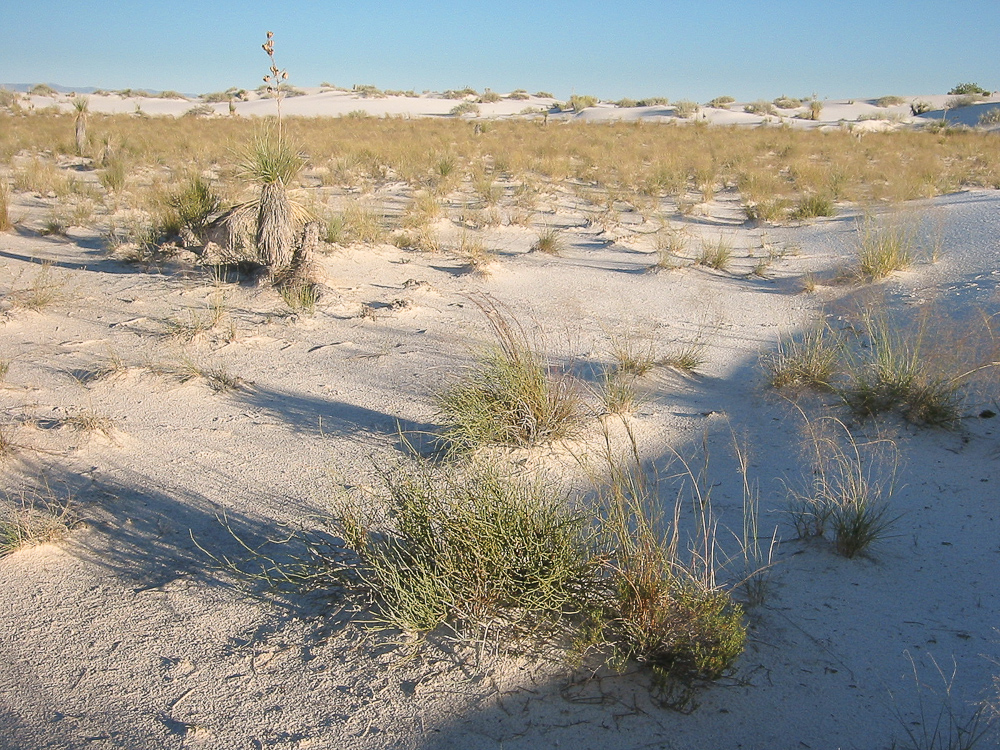 White Sands NM - 20/09/05